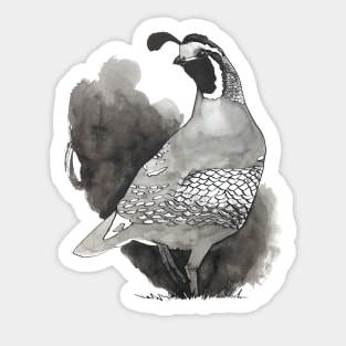 California Quail Ink Drawing Design Sticker